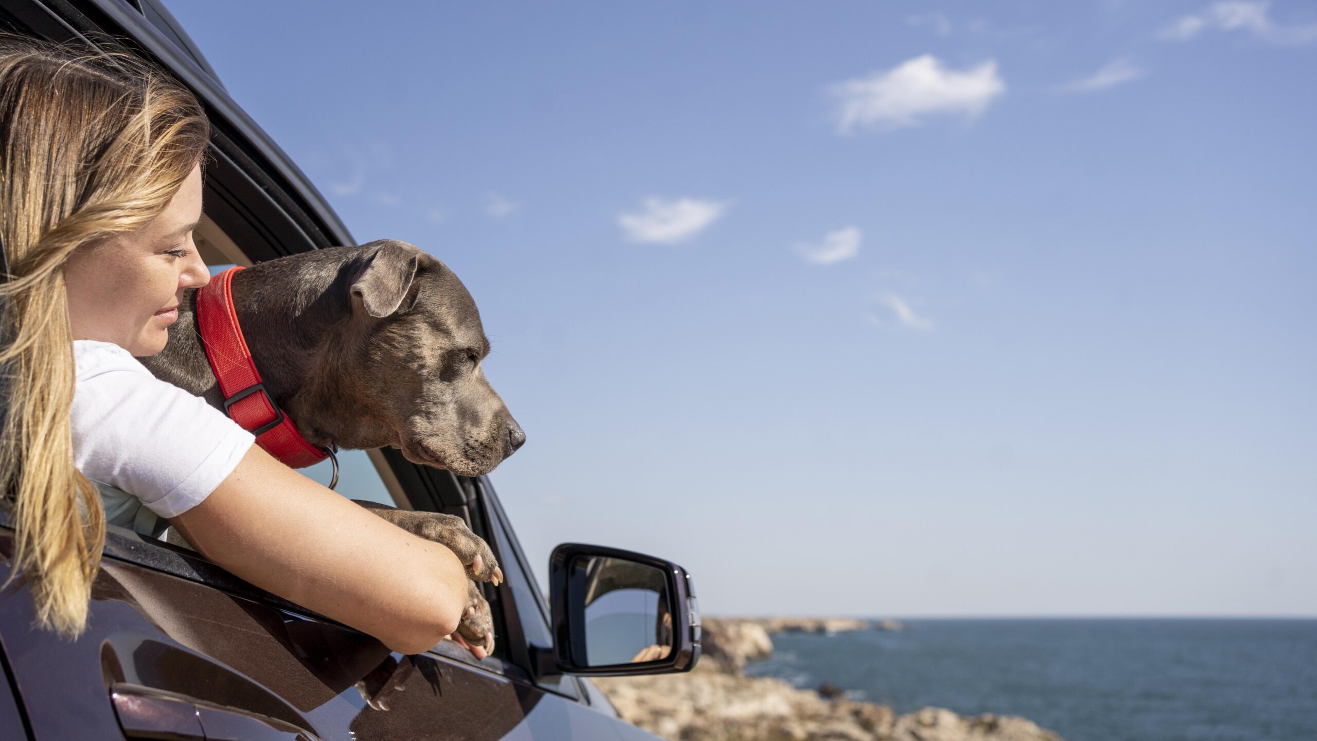 Before going on a trip with your pet, what are some helpful tips you should go over?