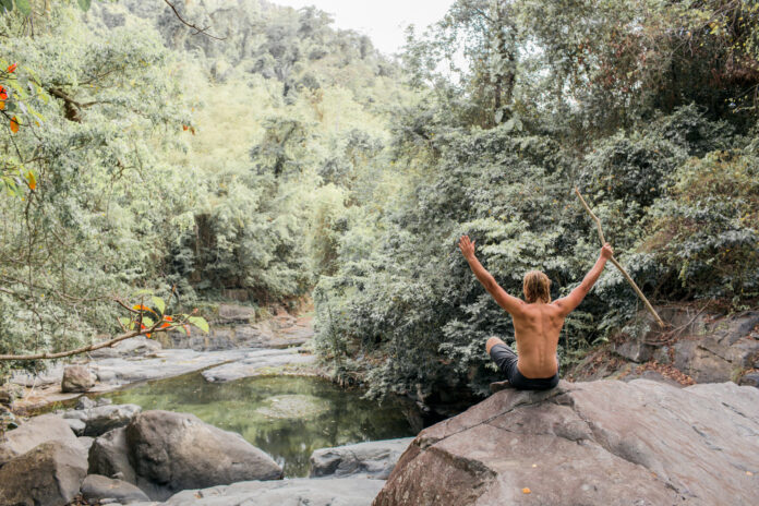 Cultivating Longevity: The Surprising Power of Forest Bathing