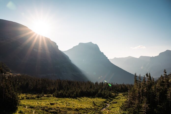Enhance Longevity with a Daily Dose of Morning Sunlight