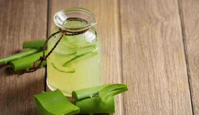 Aloe Vera Slows Skin Aging Overnight